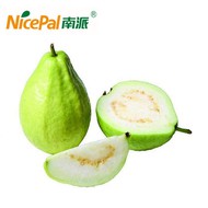 Nicepal Guava Powder Extracted From Fresh Guava Fruit