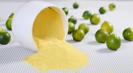 High Purity Lime Extract Powder Lime Powder