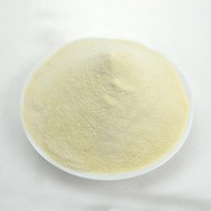 ISO Certified Guava Powder/Guava Fruit Extract Powder